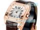 Swiss Copy Cartier Santos 100th Anniversary Yellow Gold Case Ladies Watch 35 (4)_th.jpg